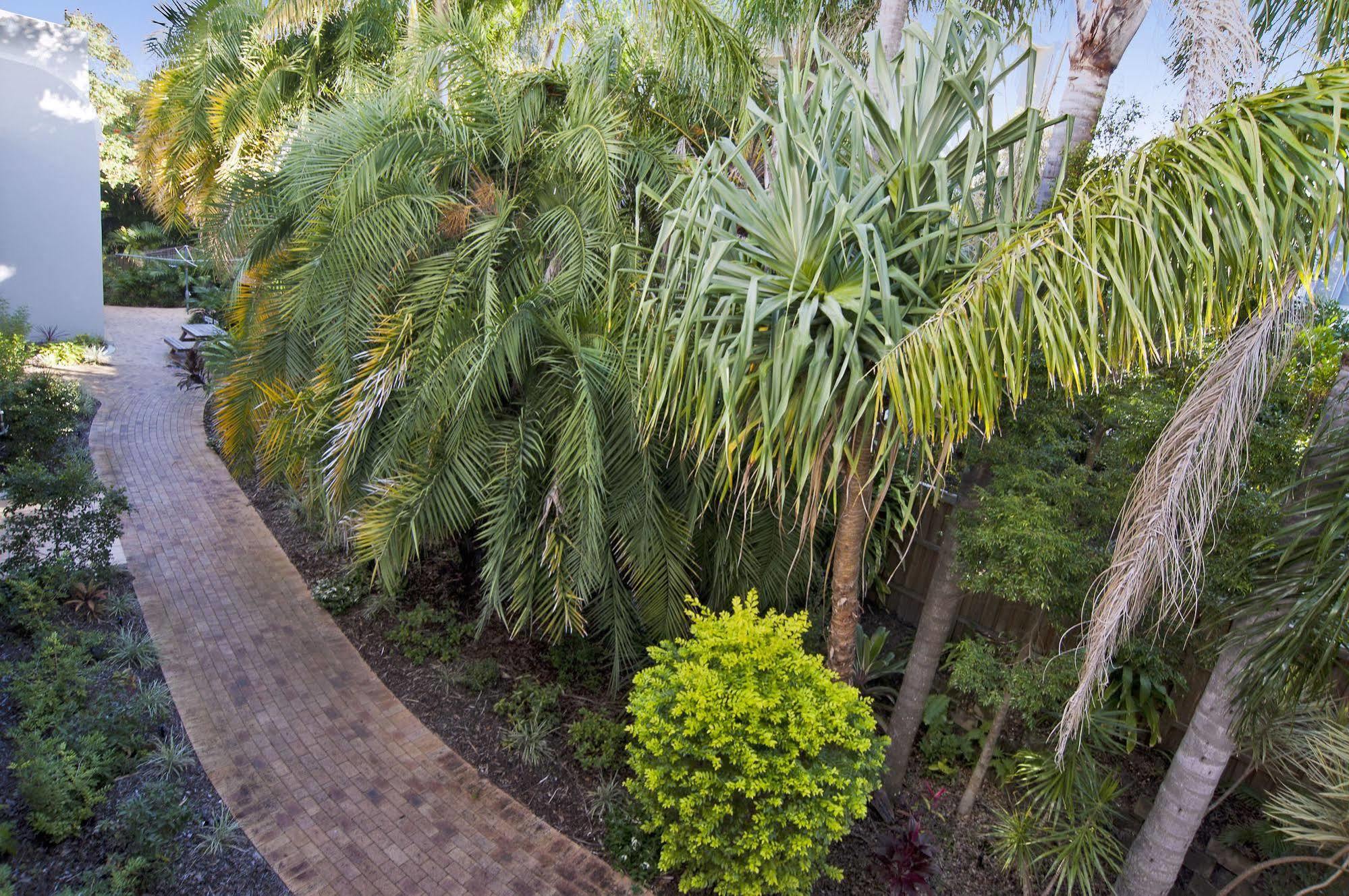 Sundancer Holiday Apartments Sunshine Coast المظهر الخارجي الصورة